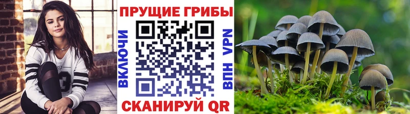 Псилоцибиновые грибы ЛСД  наркота  Татарск 